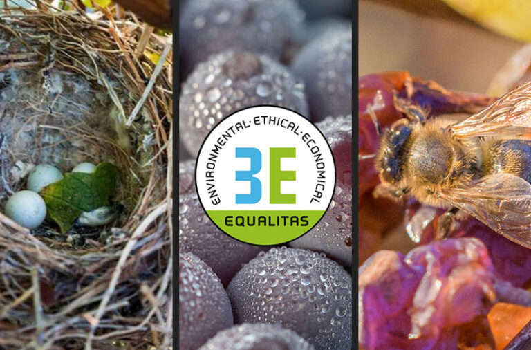 A strong commitment to biodiversity: Firriato gets Equalitas Certification